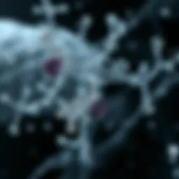 Chemical structure of sweat components