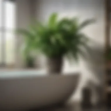 Close-up of moisture-loving plants thriving in a humid bathroom