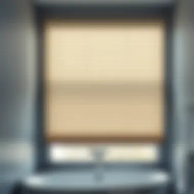 Functional Blinds for Privacy Stylish blinds installed over a frosted glass window