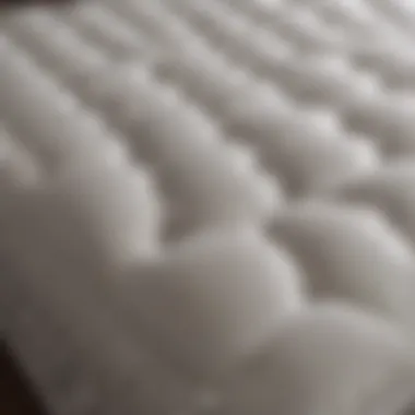 Close-up of air bed material showcasing durability