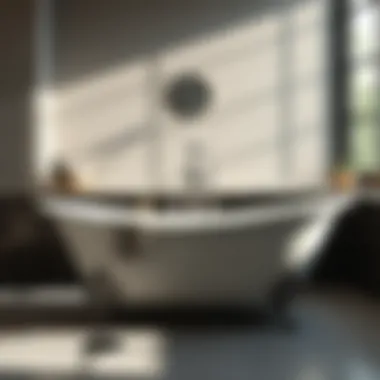 Enhanced Functionality of the Briggs Liberty Bathtub Functional features of the Briggs Liberty bathtub enhancing user experience