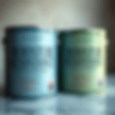 Understanding Moisture Resistance in Paint Choices Close-up of paint cans displaying moisture-resistant labels