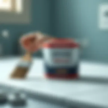 Essentials for Application Close-up of Rust-Oleum paint can and brush
