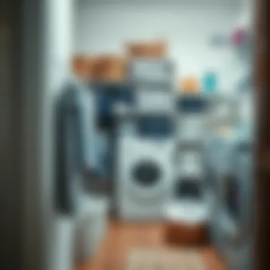 Sorted Laundry for Optimal Washing A beautifully organized laundry space with sorted clothes