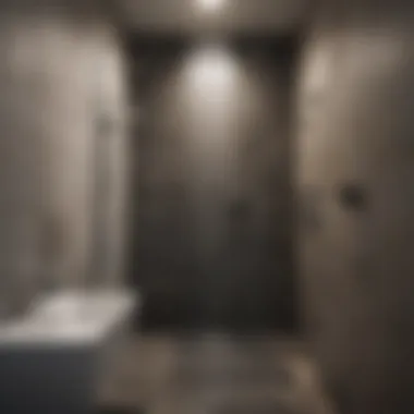 Sleek Shower in Modern Narrow Bathroom Modern narrow bathroom design featuring a sleek shower