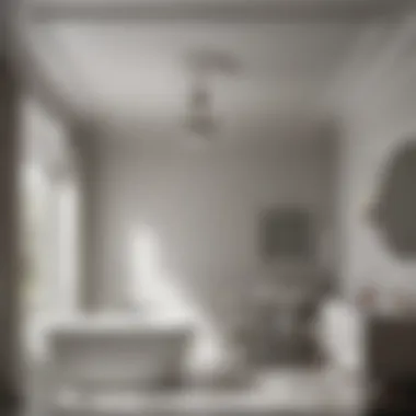Moisture-Resistant Ceiling Paint Moisture-resistant ceiling paint in a bathroom setting