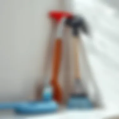 Must-Have Tools for Bathroom Care Essential tools for maintaining bathroom cleanliness