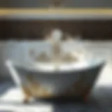 Elegant bath tub inlay design showcasing intricate patterns