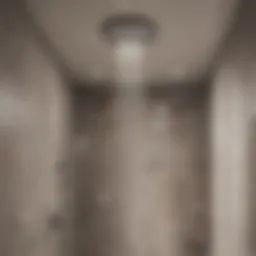 Modern ceiling light fixture in a luxurious bathroom shower