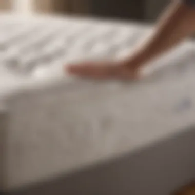 Maintenance Tips for Memory Foam Pocket Spring Mattresses Infographic depicting maintenance tips for memory foam pocket spring mattresses