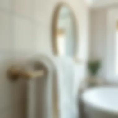 Maintenance tips illustrated for brushed nickel towel bars