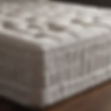 Different types of mattresses displayed