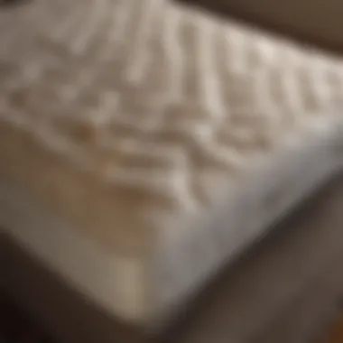 Comparison of Mitchell Gold Mattress Models Comparative analysis of different Mitchell Gold mattress models