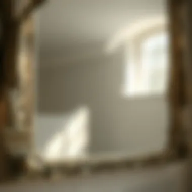 Intricate Frame Details of Pottery Barn Mirror Close-up of Pottery Barn mirror showcasing intricate frame details