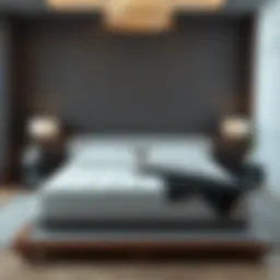 Elegant queen size tatami mattress showcasing its sleek design