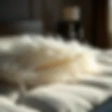 Luxurious layer of soft feathers