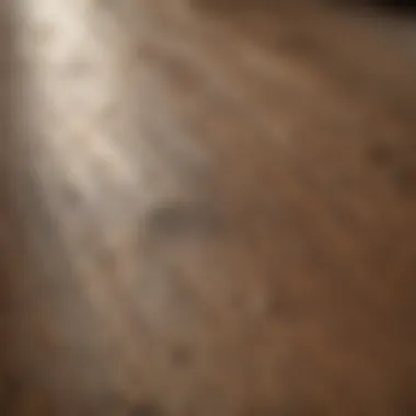 Close-up of washed wood texture showcasing natural grains