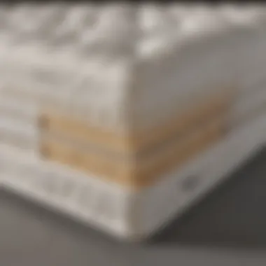 Diagram showing Sealy Belmont mattress support layers