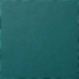 Luxurious shagreen texture detail