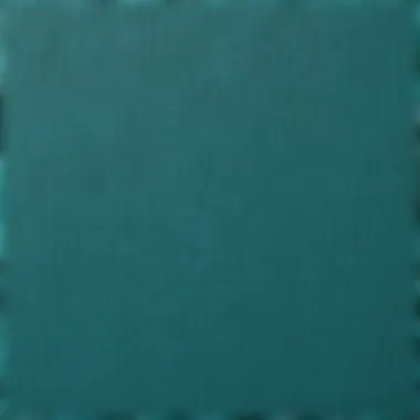 Detail of Luxurious Shagreen Texture Luxurious shagreen texture detail