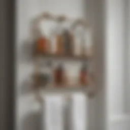 Elegant over the door bathroom rack displaying toiletries