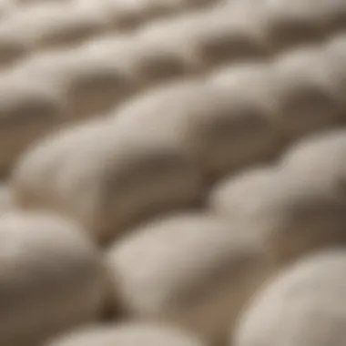 Materials Used in Futon Mattresses Close-up of various materials used in 2 piece futon mattresses