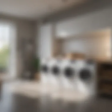 Organized Laundry Room with Bins