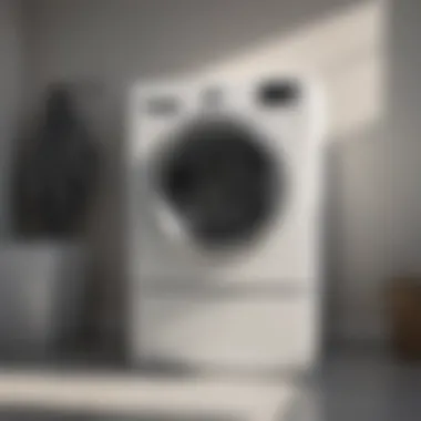 Elegant Design for Your Laundry Space Stylish Extra Large Laundry Bin in Modern Decor