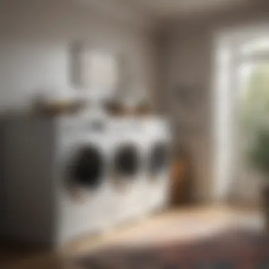 Diverse Styles to Suit Every Home Unique Styles of Extra Large Laundry Bins