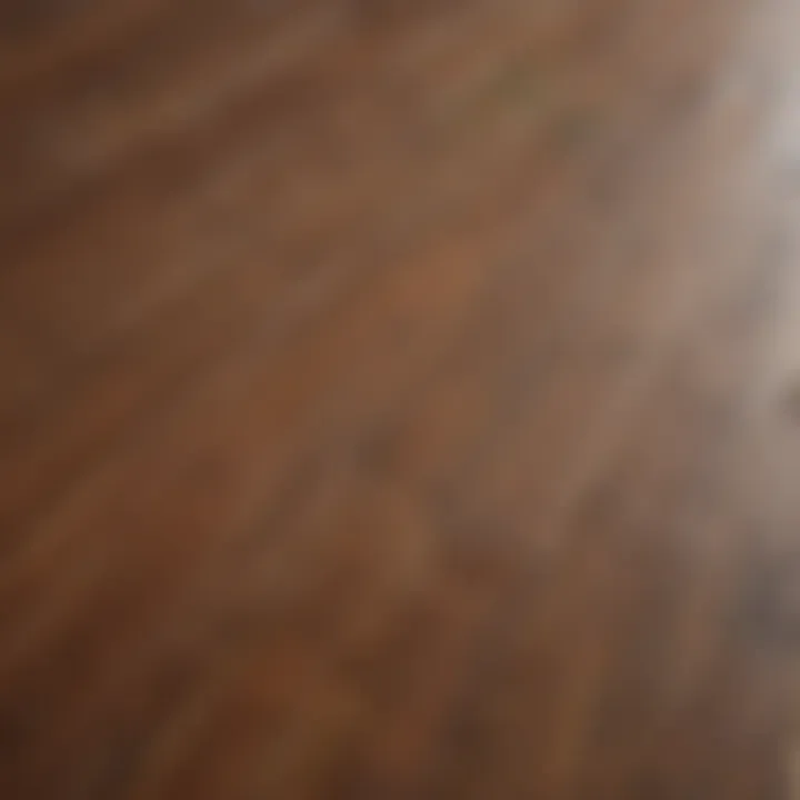 Close-up of rich hardwood grain showcasing texture