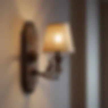 Exploring Diverse Styles of Light Sconces Various styles of sconces displayed on a shelf