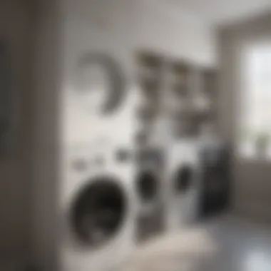 Elegant Wall-Mounted Storage Solution Elegant wall-mounted storage for laundry detergent