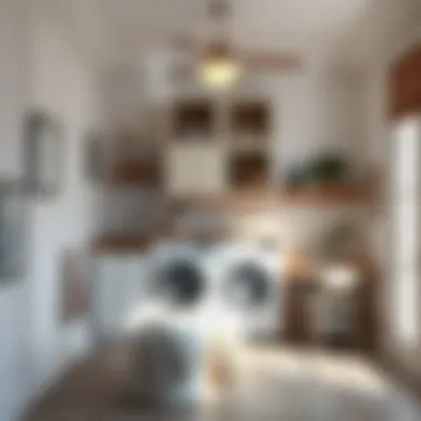 Efficient space utilization in dual-purpose laundry and work area