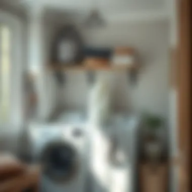 An organized laundry area featuring an aesthetically pleasing bag frame