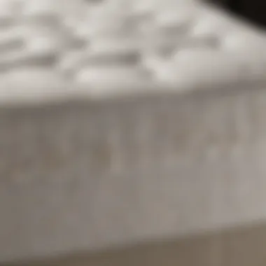Comparative Analysis of Mattress Types Comparison chart of various mattress types including Dormia memory foam