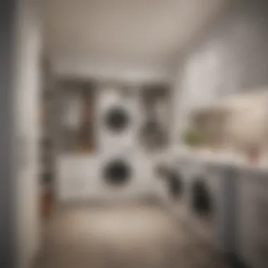 Elegant closet laundry room featuring modern appliances