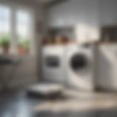 Efficient Laundry Organization Organized laundry space showcasing a powder container with scoop.