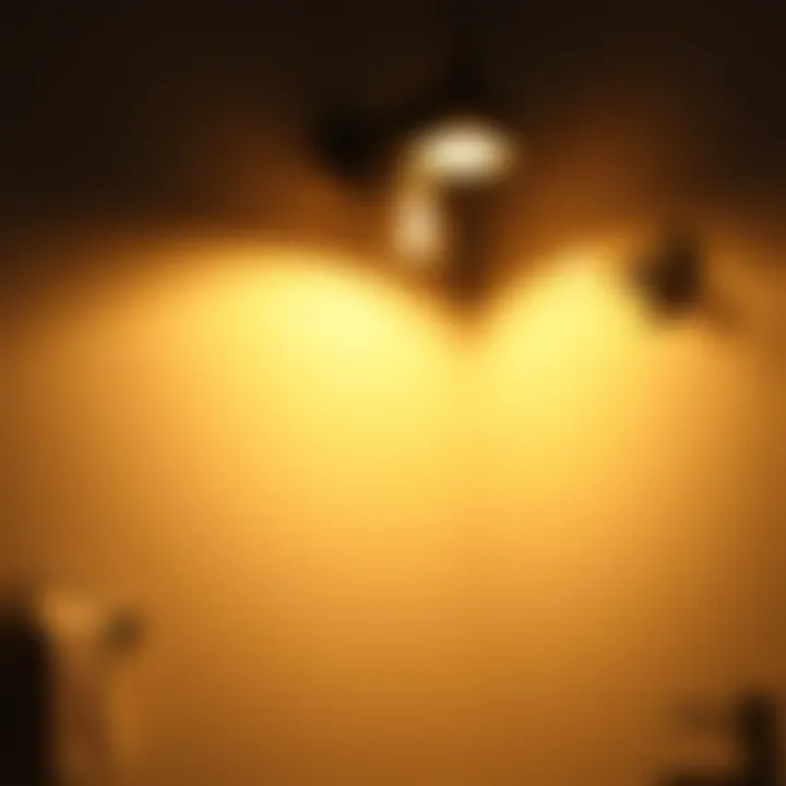 Functional Illumination with Modern LED Fixtures Modern LED fixtures offering bright and functional illumination