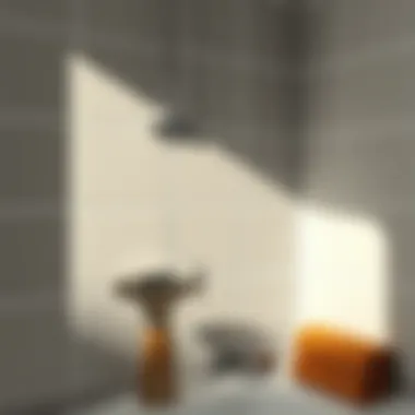 Essential Maintenance Tools for Tiled Walls Maintenance tools for bathroom tiles