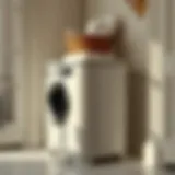 Stylish laundry sorter with multiple compartments