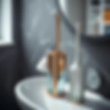 Stylish bathroom brush set with sleek design