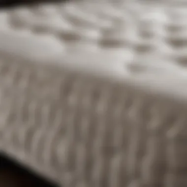Luxurious Mattress Materials Luxurious mattress showcasing premium materials