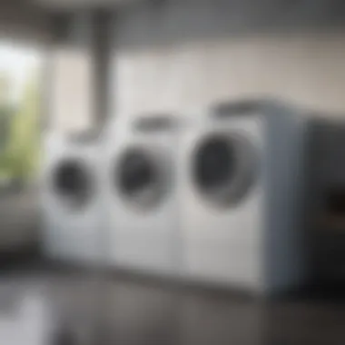 The O3 Pure Professional Eco Laundry Washer System Summary The O3 Pure Professional Eco Laundry Washer System Summary