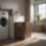 Stylish professional laundry basket in a modern laundry room setting