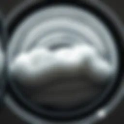 Close-up of a plush bath mat in a washing machine