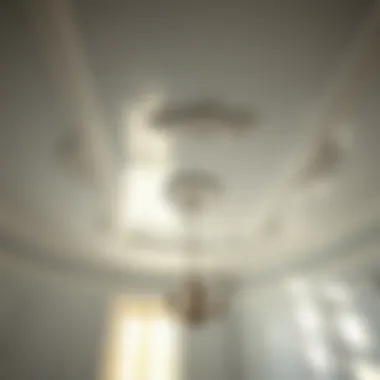 Maintenance tips for painted ceilings