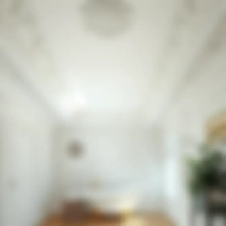 Various shades of white paint for ceilings