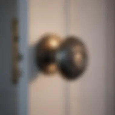Minimalist Doorknob in Contemporary Spaces Modern minimalist doorknob complementing contemporary decor