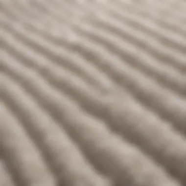 Close-up of a textured oval bath mat showcasing its material