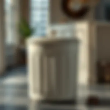 Elegant three compartment laundry hamper with a lid in a modern home setting